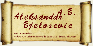 Aleksandar Bjelošević vizit kartica